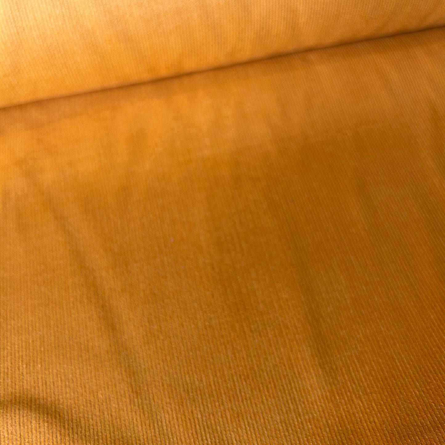 21 Wale Cotton Needlecord - Ochre